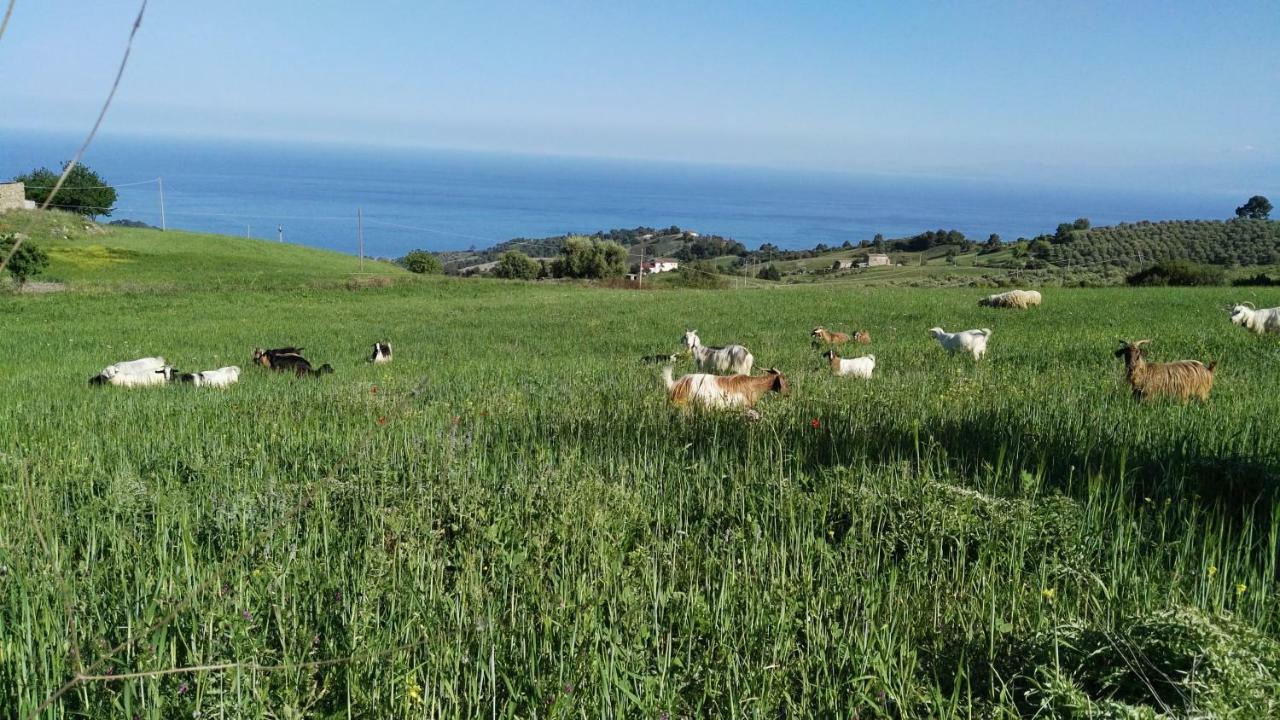 Agriturismo Masseria Tufaro Βίλα Albidona Εξωτερικό φωτογραφία